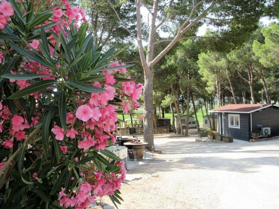 Camping Le Bois De Pins Салз-ле-Шато Экстерьер фото